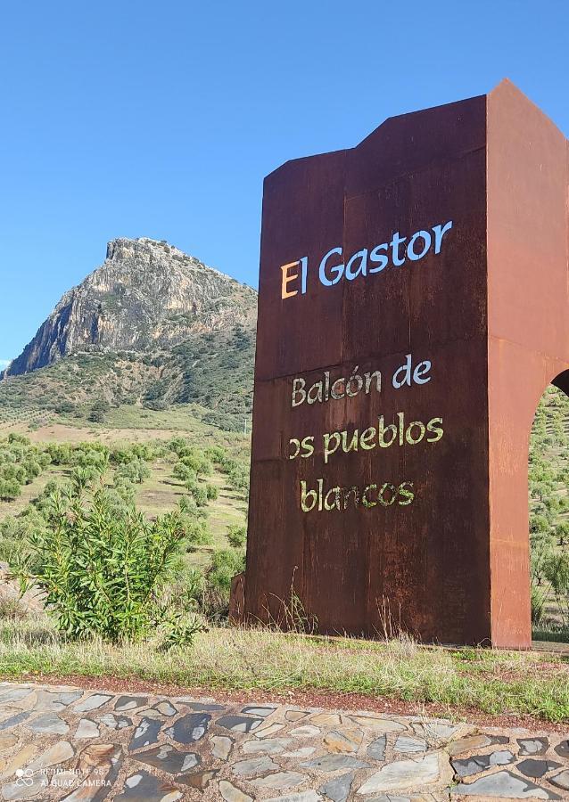 Vila Casa El Almendro El Gastor Exteriér fotografie